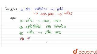 केंचुआ किस संघ का प्राणी है? इस संघ के लक्षण लिखिये। | 11 | MODEL PAPER 2021 | BIOLOGY | MP BOAR...