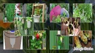 Recycled Container Gardening Ideas