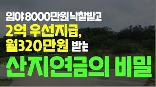 임야 8000만원 낙찰받고 2억 우선 지급, 월 320만원 받는 산지연금의 비밀