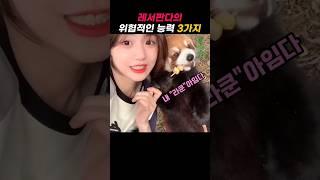 레서판다의 위협적인능력 세가지 #lesserpanda
