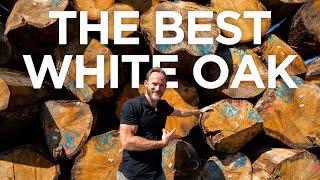 Sourcing & Milling The Best White Oak in the World took me all the way to Germany