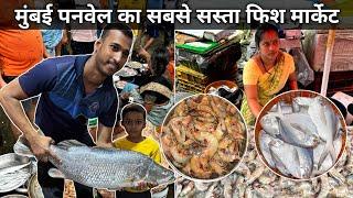 Panvel Fish Market Latest Video | Panvel Koliwada Fish Market | Wholesale Fish Market In Mumbai