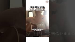 영상만으로 느껴지는 여름 더위 속 어딘가의 낭만 #닌진 #로쿠데나시