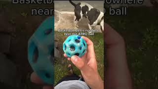 Exposing the Atro ball
