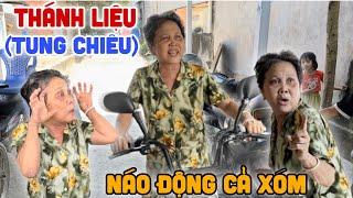 Thánh Liệu "Tung Chiêu" Làm Náo Động Cả Xóm | Bước Lang Thang vlogs