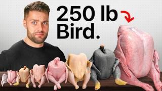 I Cooked Every EXOTIC Bird