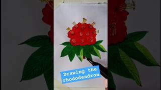 Learn how to draw and make a Rhododendron flower . #rhododendron #drawing