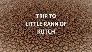 Little Rann of Kutch Gujarat | Vachhraj Dada | Vishal Video Lab