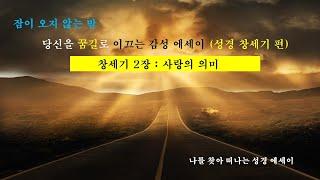 성경에세이 2 (창세기)