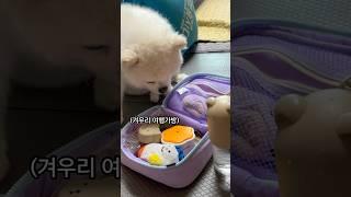 알맹이가 없는 여행가방