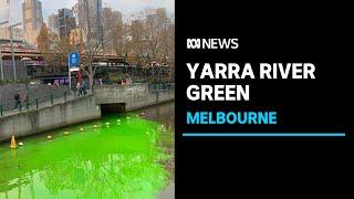 Yarra River in Melbourne turns green overnight | ABC News