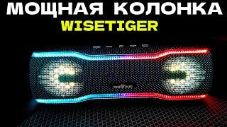 Мощная Bluetooth КОЛОНКА WISETIGER F10C