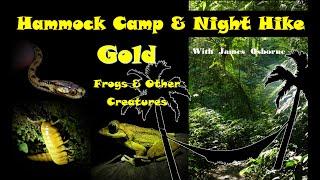 Hammock Camping & Night Hike (# 3) - Golden Creatures - 吊床露營和夜間遠足 - 金動物 (中文字幕)