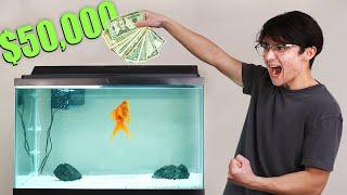 I Gave My Goldfish $50,000 to Trade Stocks