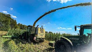 Test Sieczkarni Krone BIG X V12 Koszenie Kukurydzy Fliegl GIGANT ASW 268Fendt 92614 Rzędy2024