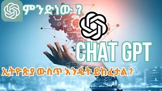 chat gpt ኢትዮጵያ ውስጥ እንዴት እንጠቀማለን ቻት ጂፒቲ ምንድነው | chat gpt | ethiopian technology | seifu on ebs