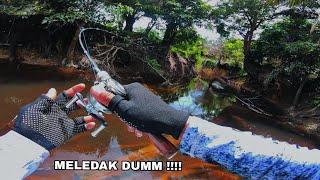 BEST ULTRALIGHT COMBO ||| SPOT TOMAN DAN KRANDANG SEGACOR INI TIDAK PERNAH DI JAMAH