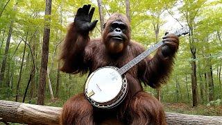 Bigfoot - Born to be Bushy (Official Music Video) | Google Veo 3