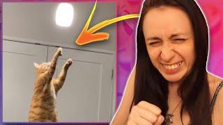 I COMPLETED THE YOU LAUGH YOU LOSE CHALLENGE!!! ~ #82