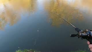 River light lure session 2 hours one lure pike and perch light set up (video 18)