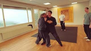 T u i    s h o u   Chen Bing Seminar in Bern