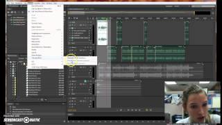 Adjusting Pitch in Session or Alien Voice in Adobe