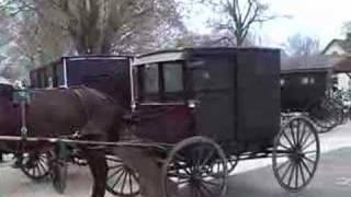 Amish Horses and Buggies in Wakarusa, Indiana