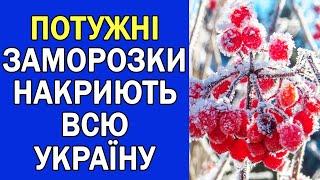 ПОМЕРЗНЕ ВСЕ В УКРАЇНІ : ПОГОДА НА ЗАВТРА