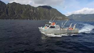 Urchin Harvesting - Haida Gwaii