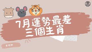七月要小心的三個生肖—十二生肖乙巳年流月運勢