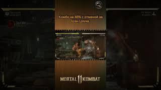 Mortal Kombat 11 - комбо на 48% с отменой за Шан Цзуна