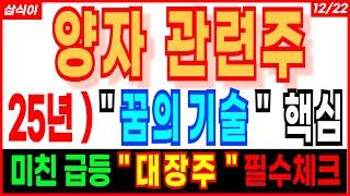 양자 관련주 -  25년 ) " 꿈의 기술 "  핵심 미친급등 "대장주" CES2025 양자암호 양자컴퓨터 이재명 관련주 대선주 급등주 주가 주가전망 주식추천 양자관련주 삼식이