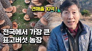 농사 명인이 귀농 초보에게 표고버섯 농사를 적극 추천하는 이유