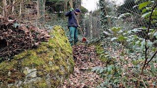 Cleaning up beautiful forest path in freezing temperature - PART 1