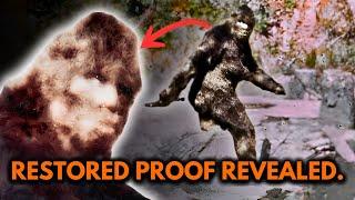 Bigfoot Proof…3 Images That Prove the Patterson-Gimlin Film is Real