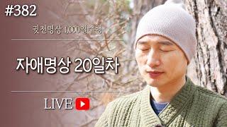  [실시간-명상방송] 자애명상수면명상 20일차▶귓전명상수련(382/432일) KoreaMeditation