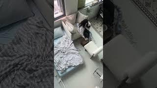 나만 알기 아까운 집꾸미기 아이템