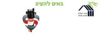 הפקת סרטון אנימציה , סרטון אנימציה לעסקים קטנים , יצירת סרטון אנימציה, הפקת סרטון שיווקי לעסק