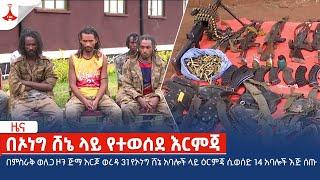 በምስራቅ ወለጋ ዞን ጅማ አርጆ ወረዳ 31 የኦነግ ሸኔ አባሎች ላይ ዕርምጃ ሲወሰድ 14 አባሎች እጅ ሰጡ Etv | Ethiopia | News zena