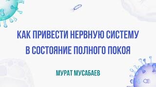 Как привести нервную систему в состояние полного покоя | Мурат Мусабаев