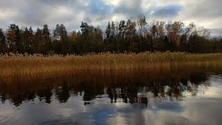 Барышево..., Вуокса..., Рыбалка... 20.10.2022