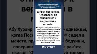 Запрет проявлять чёрствость по отношению к верующим в мольбе.