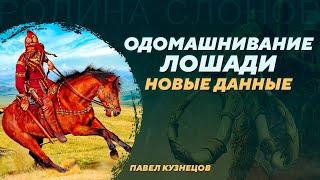 Генетика, археология и остеология о приручении лошадей. Павел Кузнецов. Родина слонов №383