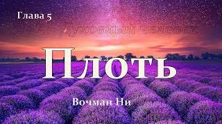 "Духовный человек" Вочман Ни глава 5
