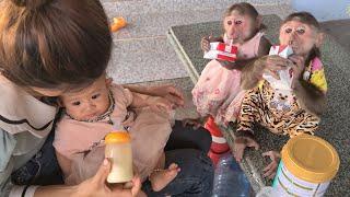 Mimi Kuku trio and cute milk drinking baby