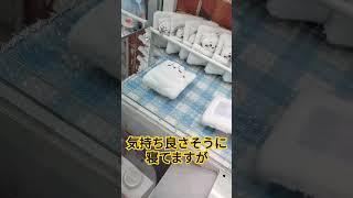 【UFOキャッチャー】気持ち良さそうに寝てるとこ失礼します！#shorts