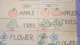 Singular and Plural chart paper  // Singular and plural in English grammar #viral #video