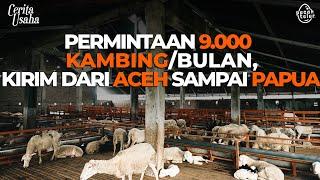 Farm Ini Pakai Ilmu Branding, Permintaan Kambing Bisa Milyaran Per Bulan!