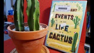 [BookQuester] 'Insignificant EVENTS in the LIFE of a CACTUS' Summary..."About self-acceptance"