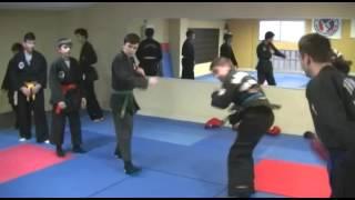 Hapkido Moo Hak Kwan (Korea Hapkido Federation)